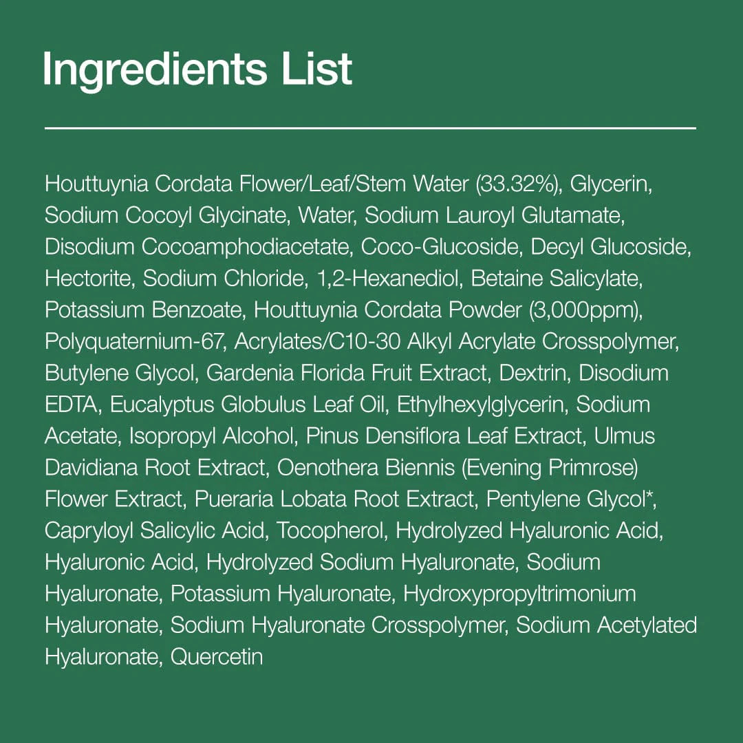Anua - Heartleaf Quercetinol Pore Deep Cleansing Foam (150ml)